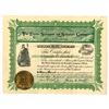 Image 1 : AZ. Electric Signagraph and Semaphone Co., 1906, I/U Stock Certificate.