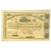 Image 2 : GA. Georgia Rail Road & Banking Co., 1856, I/C Stock Certificate.