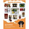 Image 1 : Online Auction