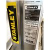 Image 5 : Stanley Ladder