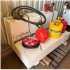 Image 1 : Delta Fuel Transfer Tank w/ Fill-Rite Pump, Hose & Gas Cans P/U Mon 2/23