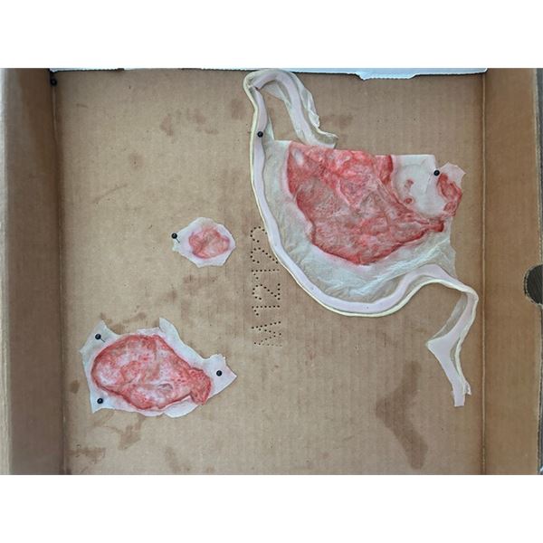 Incoming Movie Mr. Studebaker (Bobby Cannavale) SFX Burns Movie Props