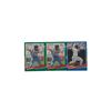 Image 1 : Bo Jackson Triple Threat Baseball Cards