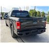 Image 4 : FORD  F-150 2015 APP DUP/T -