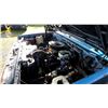Image 31 : DUNCAN - 1985 CHEVROLET C20 BLUE 280394 KMS" NO RESERVE" - P138207