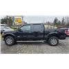Image 15 : DUNCAN - 2013 FORD F-150 BLACK 247254 KMS - DE25766