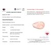 Image 3 : 16.79ct Certified Pink Morganite Gemstone ($12,592 Apprasial)