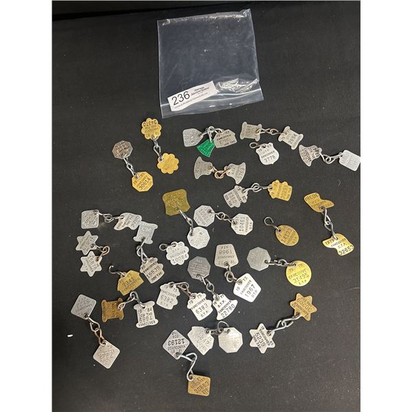 Lot of Vintage 1960s-1980s Vancouver Dog Tags