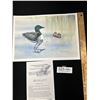 Image 2 : 13" x 9.5" Signed West Coast Native Print Loon and Chick by Sue Coleman with Paperwork