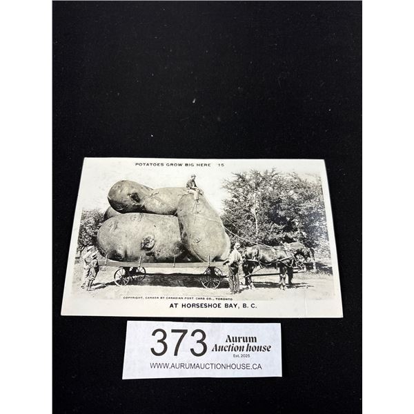 Horseshoe Bay Big Potatoe Postcard 1945