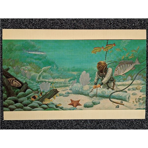 Post Card - 'Treasure Diver'. McKee's Museum, Plantation Key. Photo Post Card