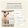 Image 8 : Embark Dog DNA Test Kit - Discover Breed, Genetic Health, Ancestry, Traits, Relatives - Brand New!