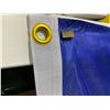 Image 3 : Red Bull Flag