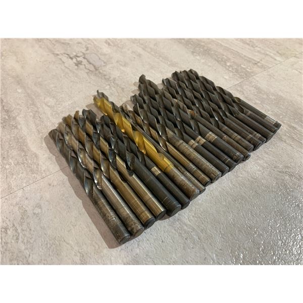 20 Pcs Assorted Drill Bits