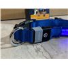 Image 2 : Light Up LED Dog Collar - Medium - Blue