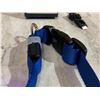 Image 3 : Light Up LED Dog Collar - Medium - Blue