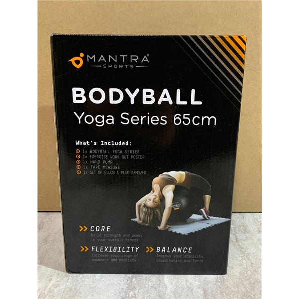 Mantra Sports Bodyball Yoga Series - Yoga Ball - Workout Poster - Hand Pump Etc