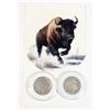 Image 1 : 1937 AND 1926 U.S. BUFFALO HEAD NICKEL COMES