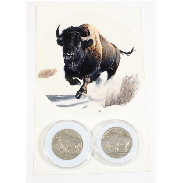 1924 AND 1930 U.S. BUFFALO HEAD NICKELS IN CAPSULE