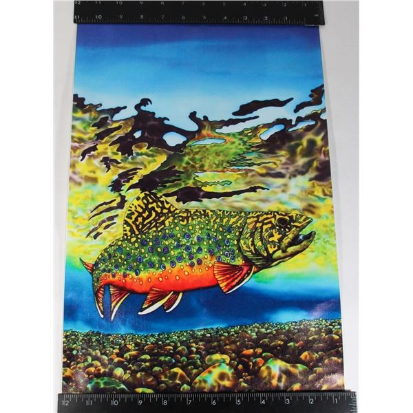 12"X16" BROOK TROUT FIBER POSTER