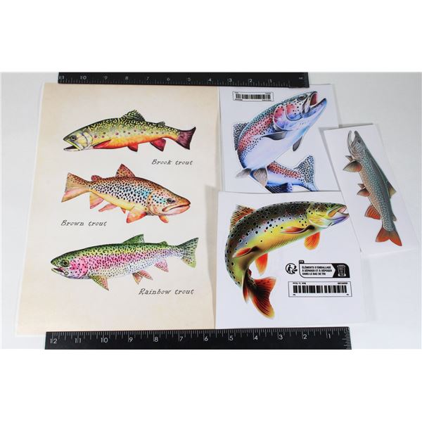 8"X12" TROUT SPECIES FIBER POSTER COMES WITH