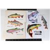 Image 1 : 8"X12" TROUT SPECIES FIBER POSTER COMES WITH