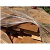 Image 14 : Pallet Mix Size & Species Lengths to 66"