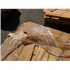 Image 7 : Pallet Mix Size & Species Lengths to 66"