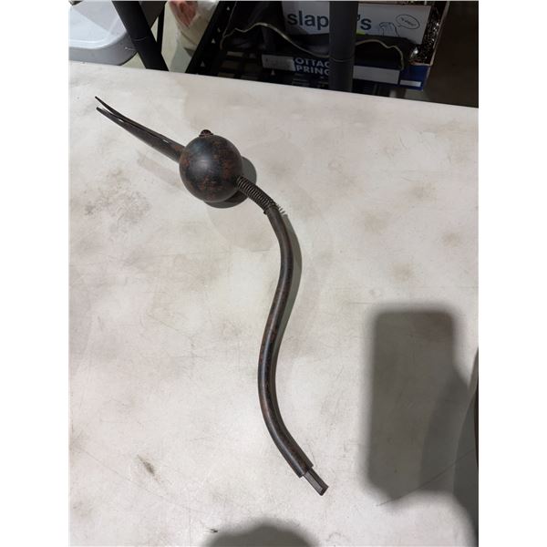 The head that belongs to the body less Bird that sold a few weeks ago