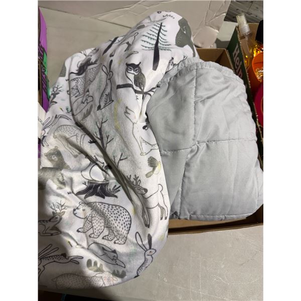 Weighted blanket and cover