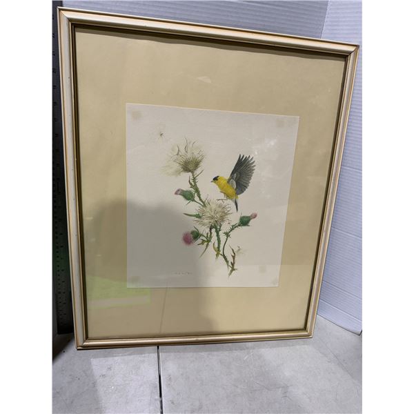 M. G. L O ATES artwork measure 20" x 24"  focus on.