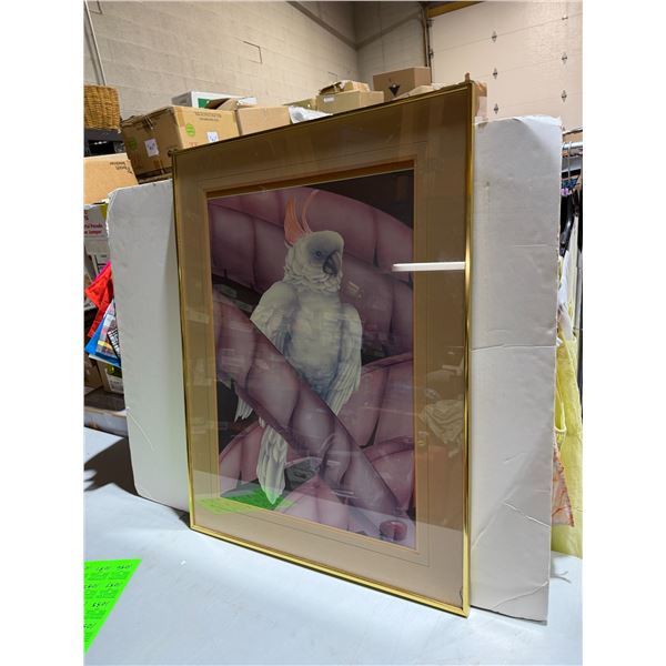 Parrot artwork measures 27 1/2" x 36 1/2" small crack in glass frame