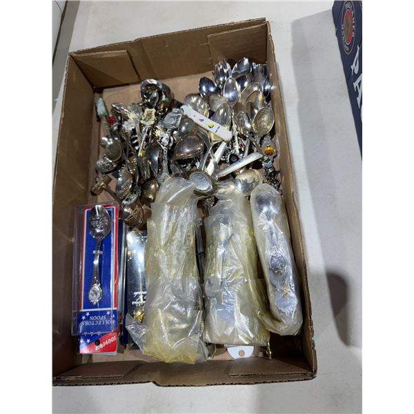 Assorted Collector spoons