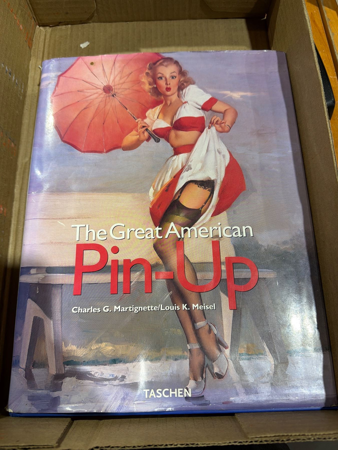 The Great American Pin up book