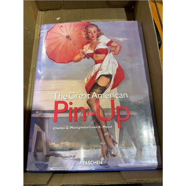 The Great American Pin up  book
