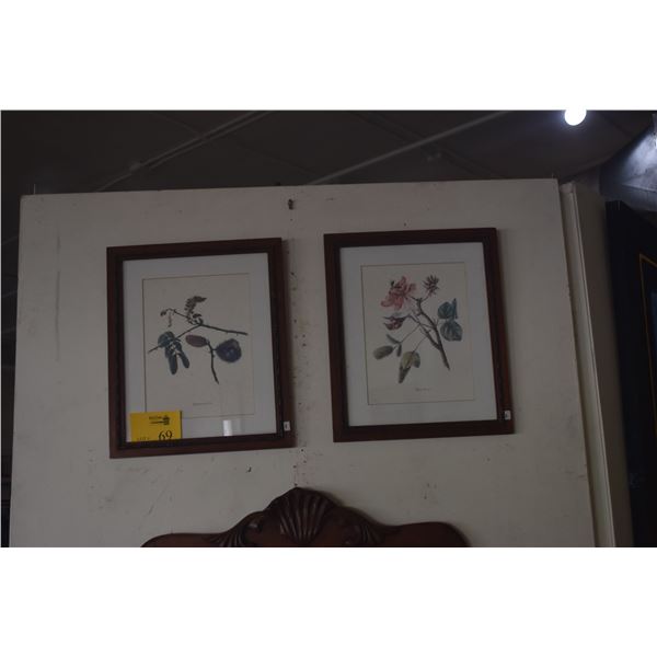 FRAMED BOTANICAL PRINTS, KAKALAIOA & WILIWILI (15" X 18") (2 PCS)