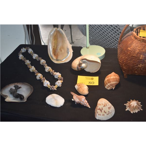 COLLECTION OF CORAL & SEA SHELLS