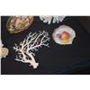 Image 9 : COLLECTION OF CORAL & SEA SHELLS