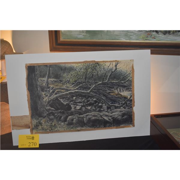 HIROKI MORINOUE, KONA COAST MIXED MEDIA