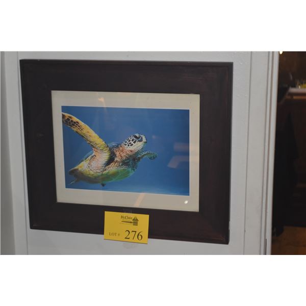 FRAMED ART PRINT, SEA TURTLE (19 1/4" X 16")