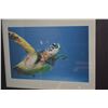 Image 2 : FRAMED ART PRINT, SEA TURTLE (19 1/4" X 16")