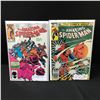 Image 1 : LOT OF 2 AMAZING SPIDERMAN COMICS #244 & #253 - MARVEL COMICS