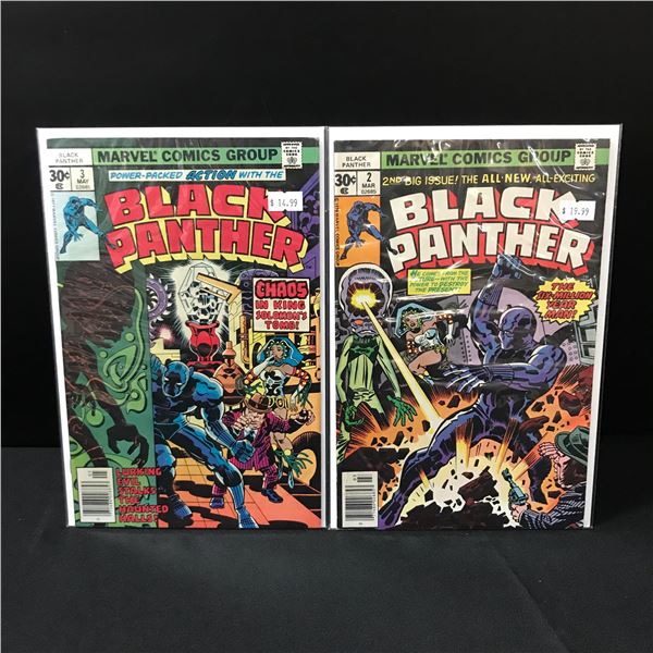 LOT OF 2 BLACK PANTHER COMICS #2-3 - MARVEL COMICS