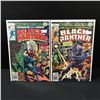 Image 1 : LOT OF 2 BLACK PANTHER COMICS #2-3 - MARVEL COMICS