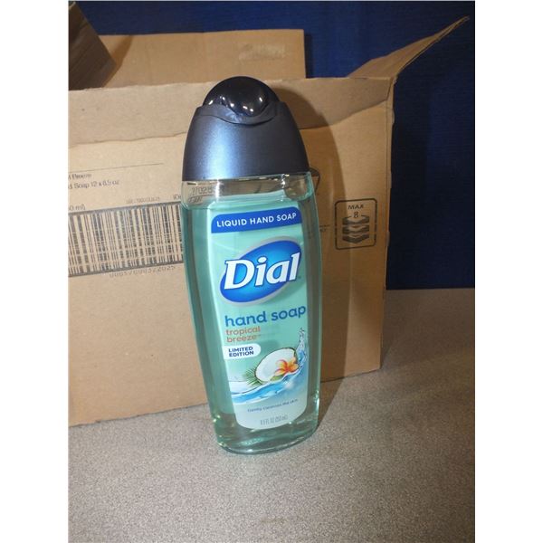 1 Case Of Dial Hand Soap