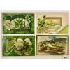 Image 4 : St. Patrick's Day & Related Postcards 24