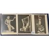 Image 4 : Nude Postcard Album Approx. 45 Cards