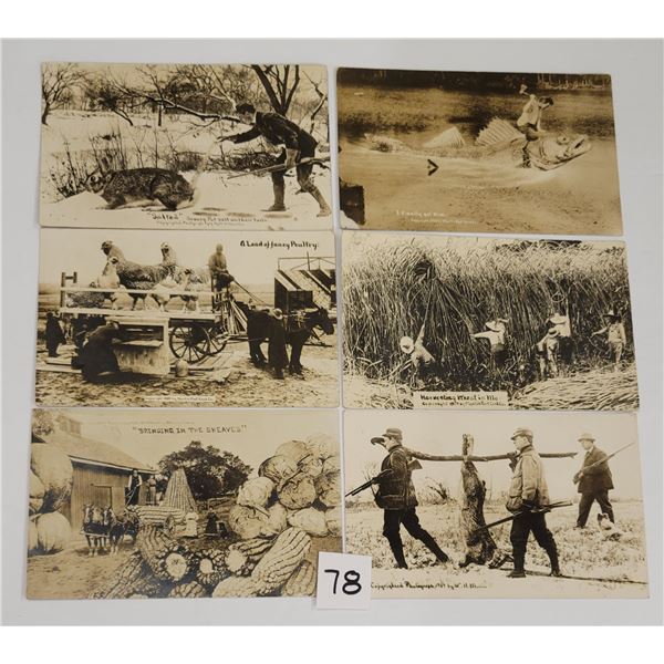 Real Photo Martin Exaggeration Postcards 16