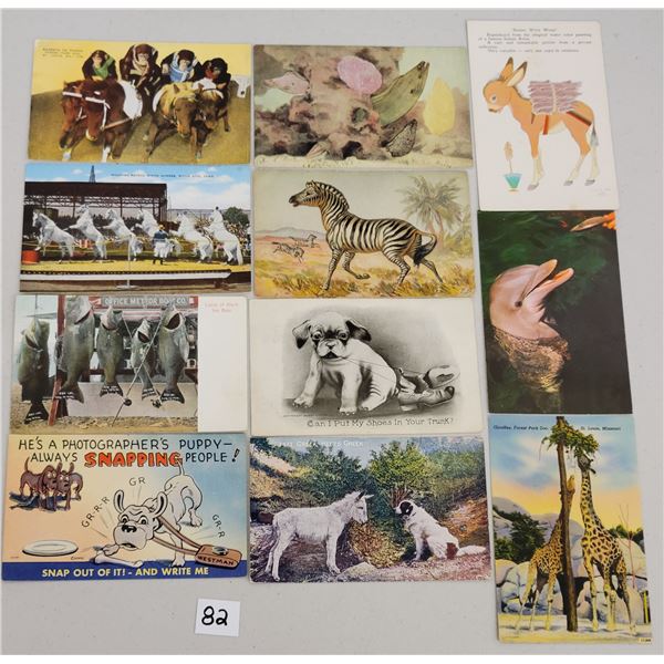 Box of Sorted Animal Postcards 675+