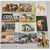 Image 1 : Box of Sorted Animal Postcards 675+